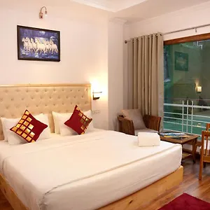 The Jains Shimla